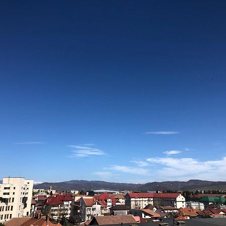 Tif Studio Râmnicu Vâlcea المظهر الخارجي الصورة